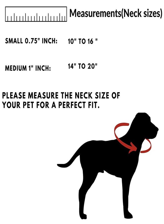 Pups&Pets Dog Belt Adjustable Nylon Sturdy & Fancy Pet Neck Collar for Dog (1 Inch - 14 to 20 Inch Large, Black Color) - Image 5